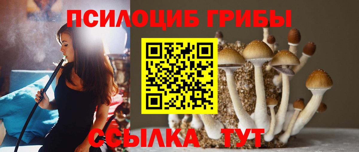 Псилоцибиновые грибы мухоморы  Вход с VPN  Галлюциногенные грибы ЛСД  магазин    Белорецк 